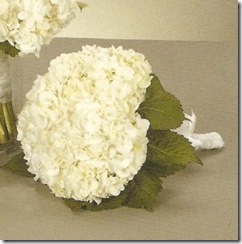 Hydrangea-Bouquet-297x300